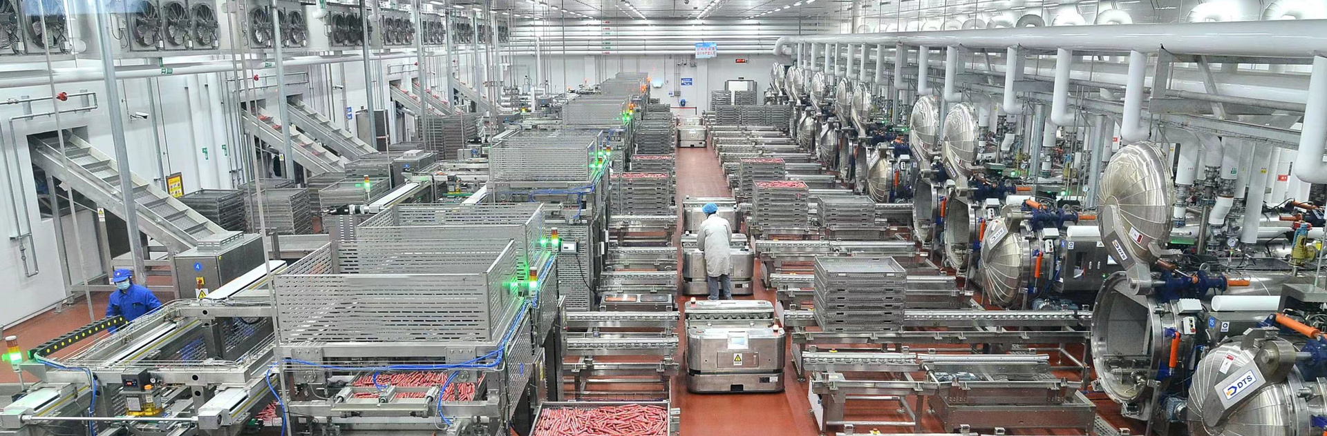 X射线异物检测设备